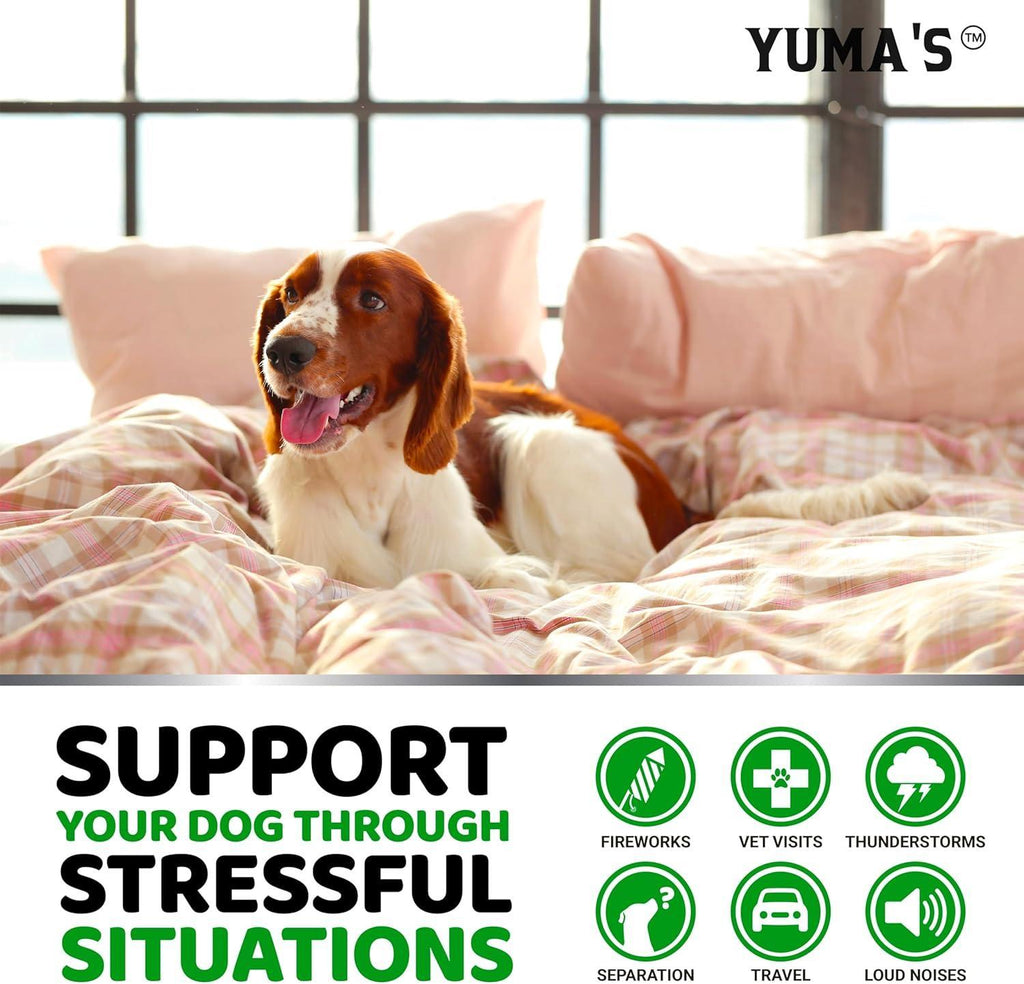 Hemp Calming Chews for Dogs 240 Count Melatonin Chamomile – photo 5 of 6