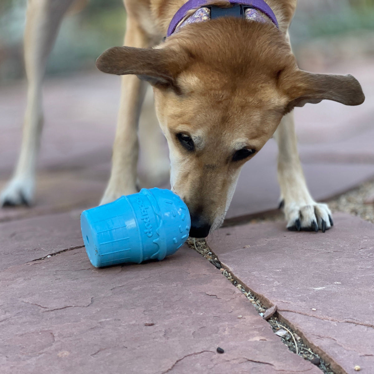 SodaPup Ice Cream Cone blue rubber chew toy and treat dispenser – photo 7 of 10