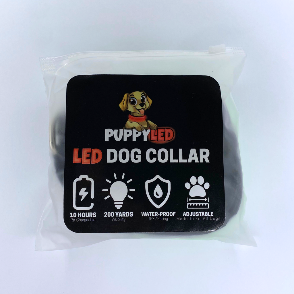 LED Dog Collar: Blue – alternate view 12