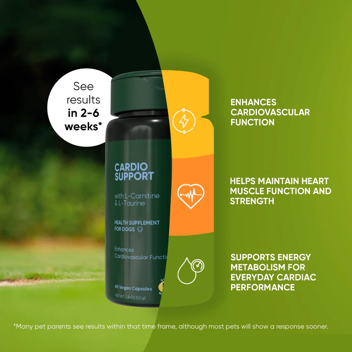 Rooted Owl Cardio Support supplement for dogs – photo 3 of 9