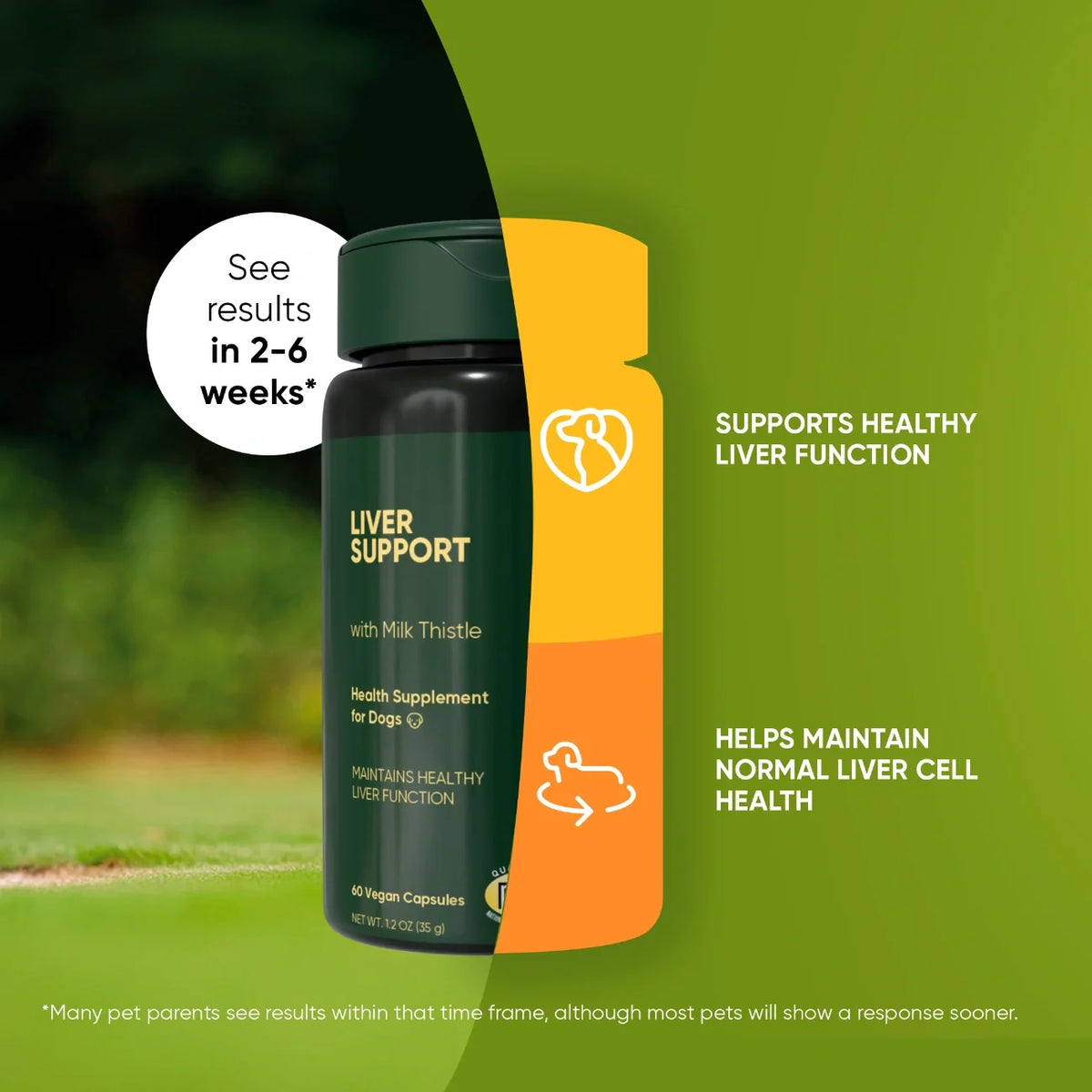 Rooted Owl Liver Support supplement for dogs with milk thistle – photo 3 of 9