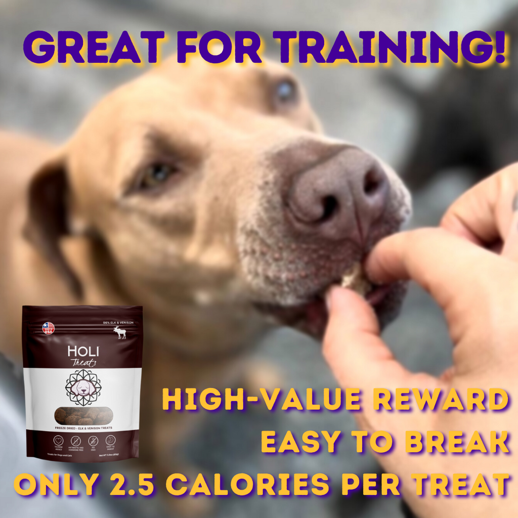 HOLI free-range elk and venison freeze-dried dog treats – photo 5 of 9