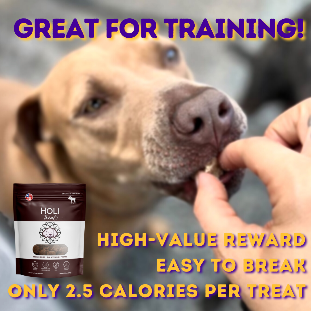 HOLI free-range elk and venison freeze-dried dog treats – photo 5 of 9