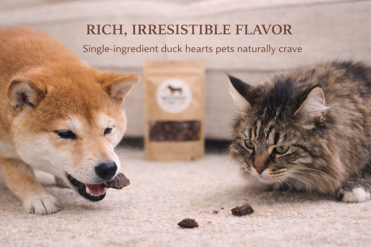 Duck Heart Protein-Rich Treat for Dogs & Cats – alternate view 3