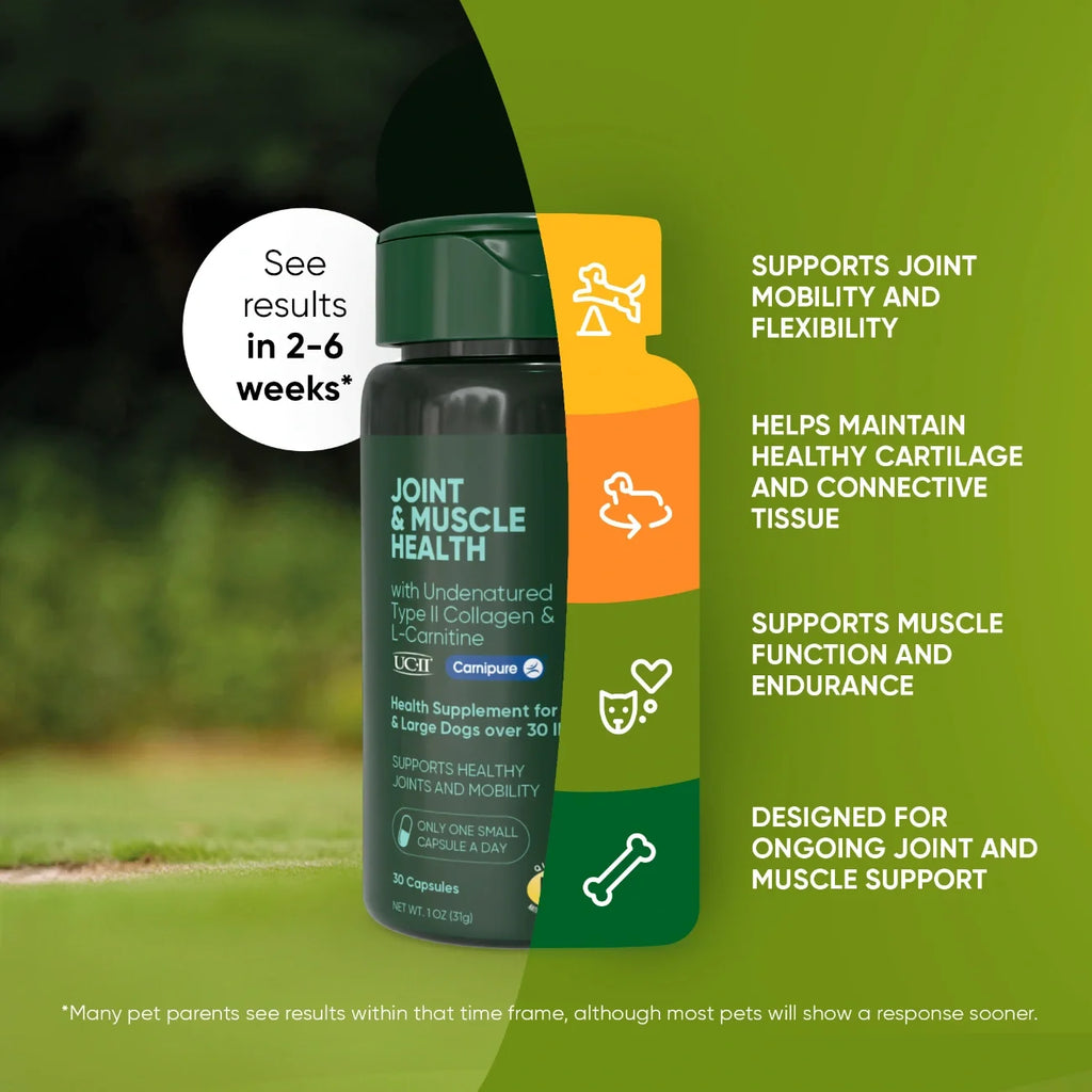 Rooted Owl Joint & Muscle Health capsules with UC-II collagen for medium and large dogs – photo 3 of 9