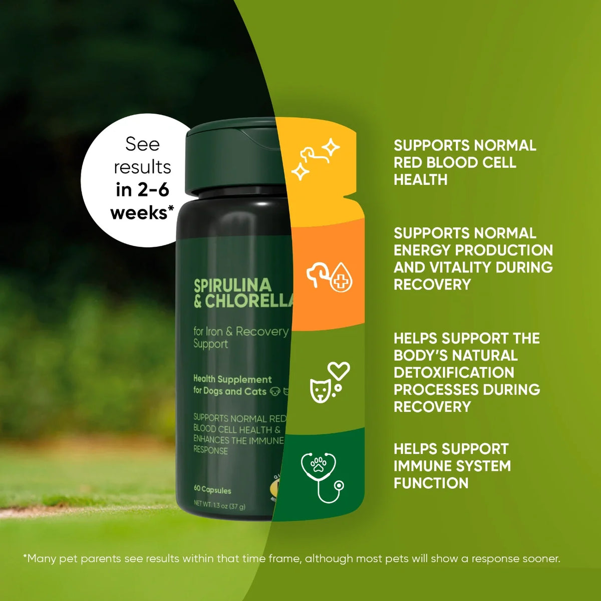 Rooted Owl Spirulina and Chlorella supplement capsules – photo 3 of 9