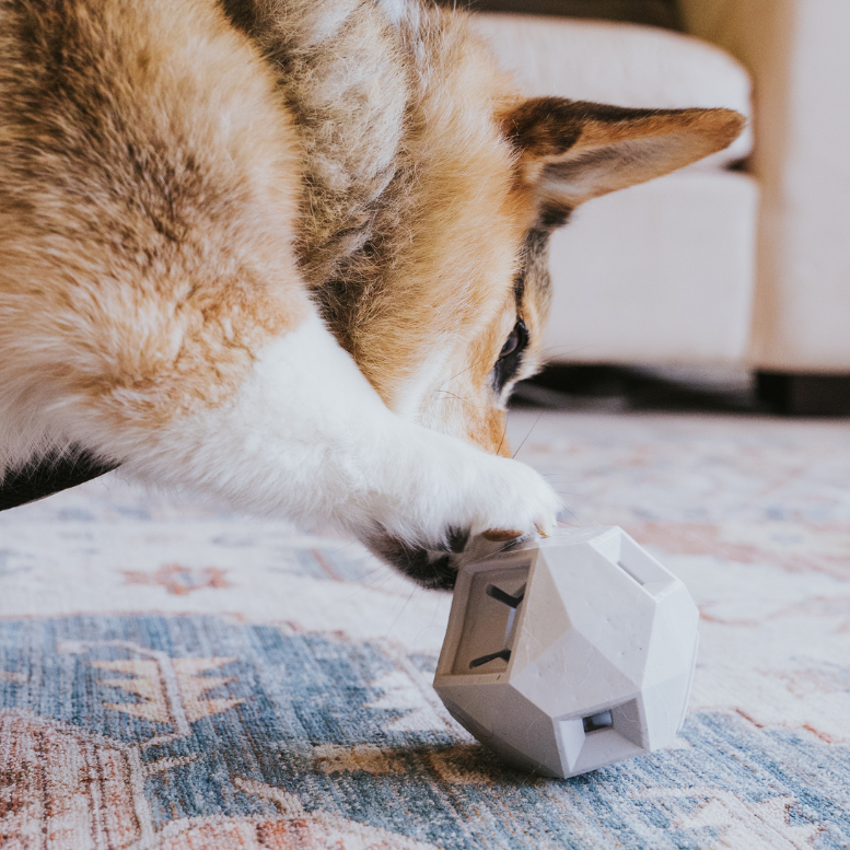 Odin Treat Dispensing Dog Toy – alternate view 9