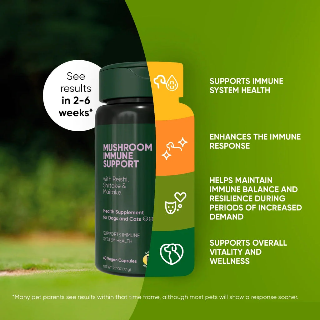 Rooted Owl Natural Immunity mushroom supplement for dogs and cats – photo 3 of 10