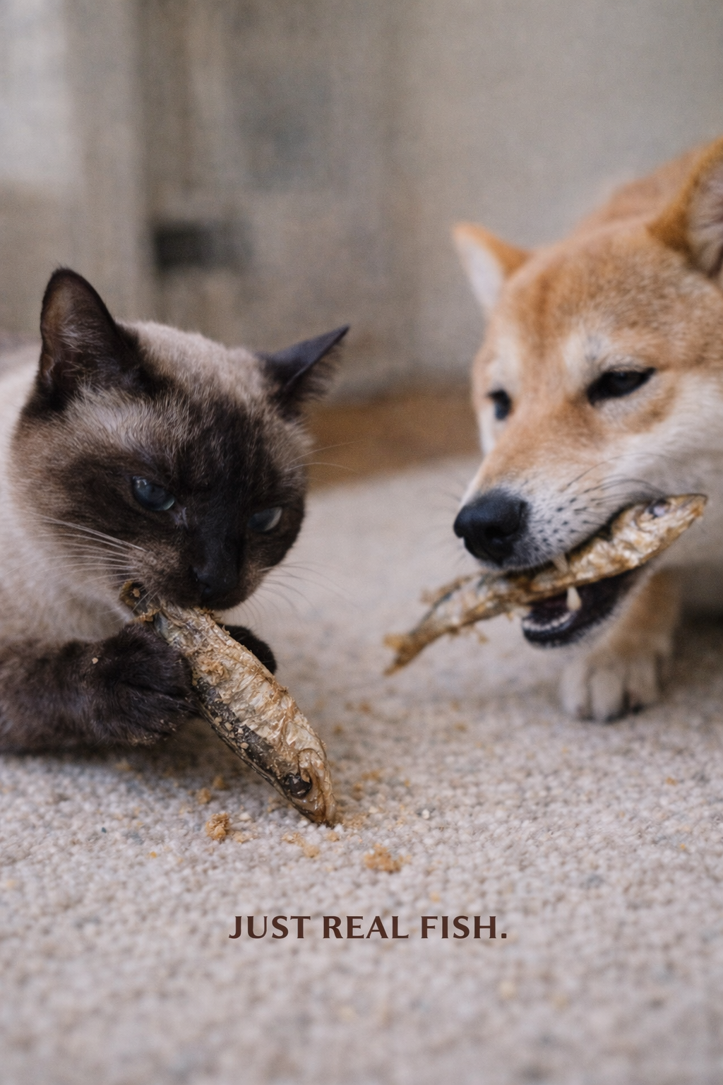 Sardines Omega-Rich Treat for Dogs & Cats – alternate view 3