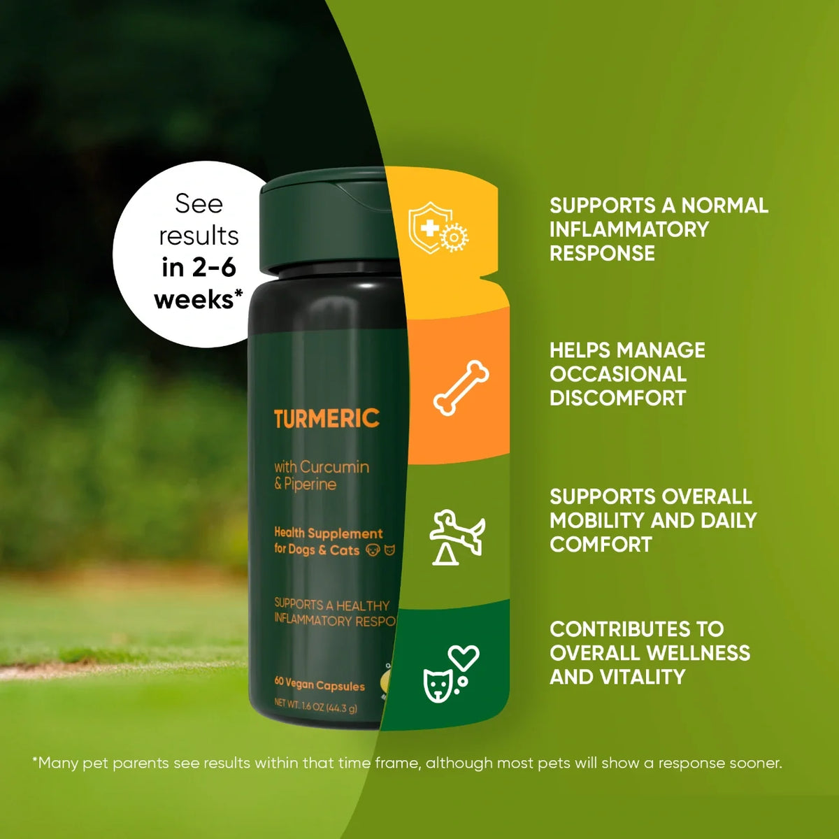 Rooted Owl Turmeric supplement with curcumin and black pepper – photo 3 of 9