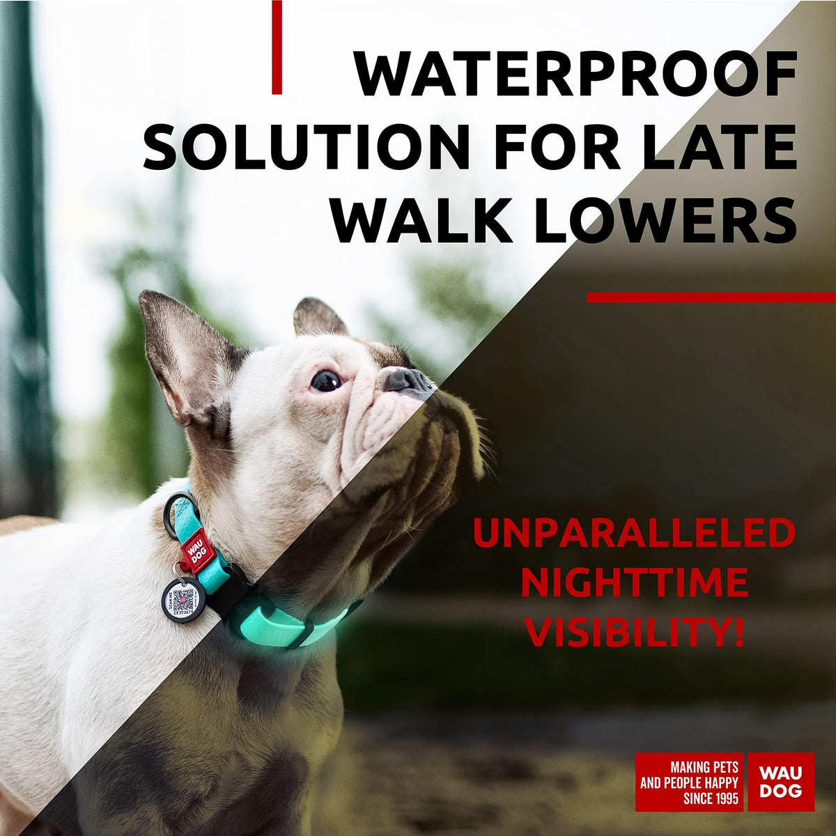 Waterproof Glow Dog Collar Medium 10 to 16 Inch Neck – photo 2 of 5