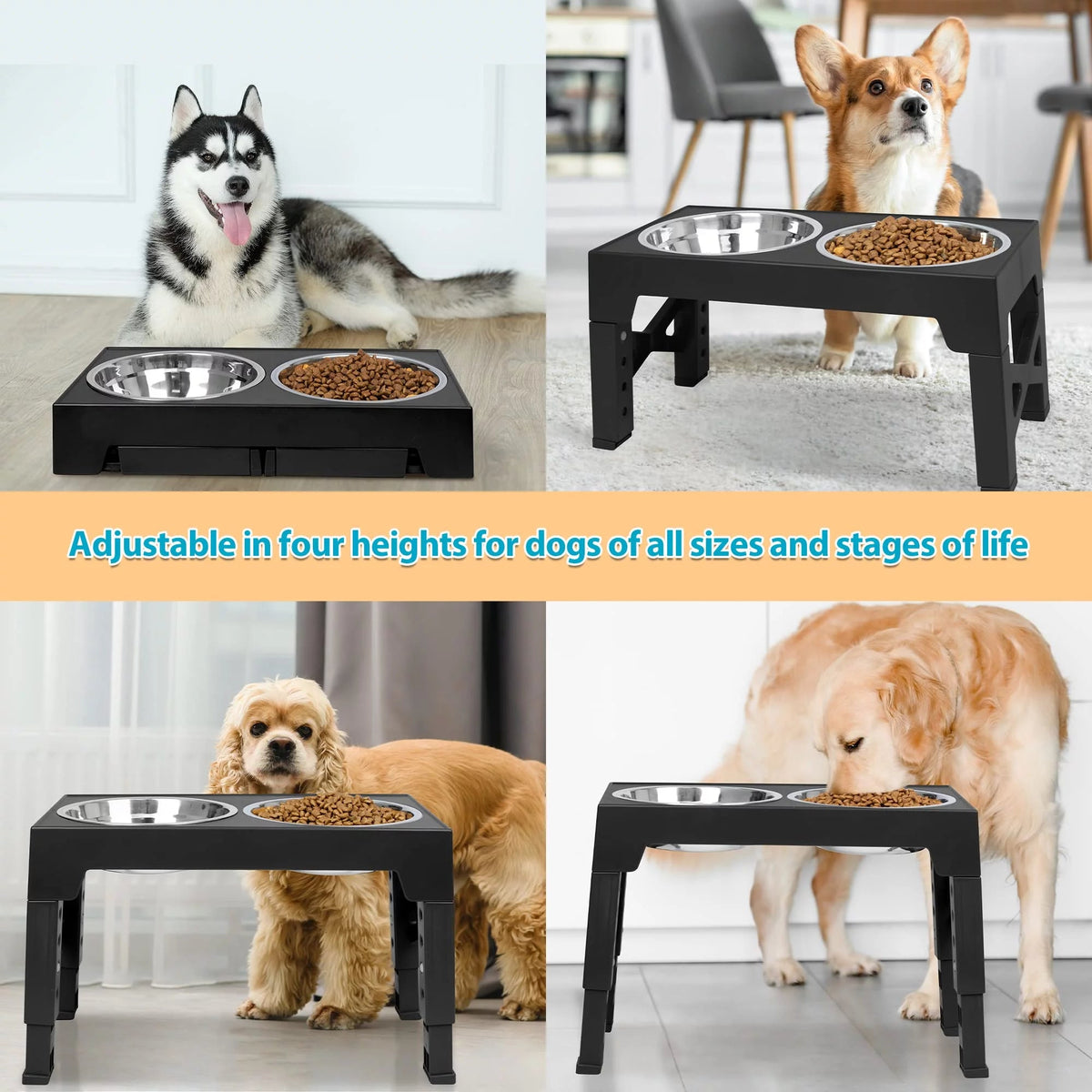 Top 10 Elevated Dog Bowl Stands with Stainless Steel Dishes, close-up