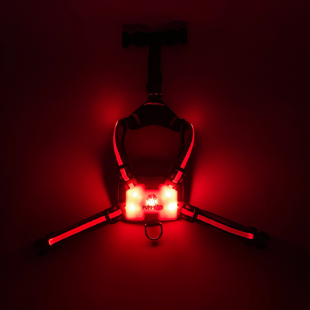 LED Dog Harness – alternate view 12
