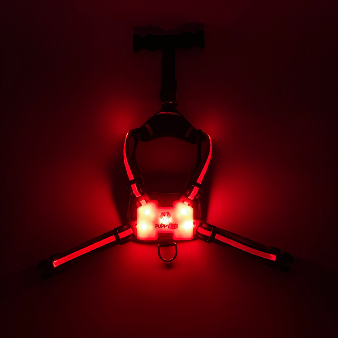 LED Dog Harness – alternate view 12