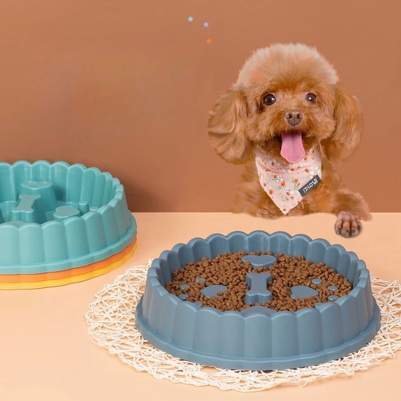 Slow Feeder Bowl for Dogs & Cats – Anti-Choking PP Dish, 27cm – alternate view 4