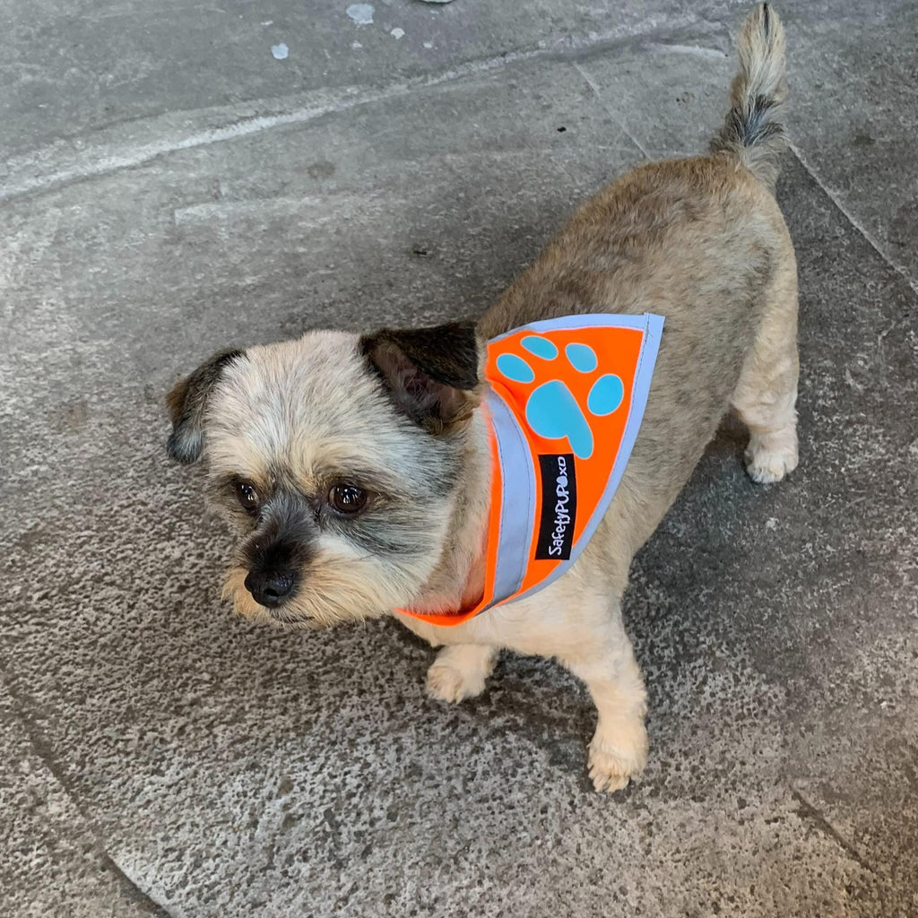 Reflective Dog Bandana Hi-Vis Blaze Orange Small – photo 3 of 6