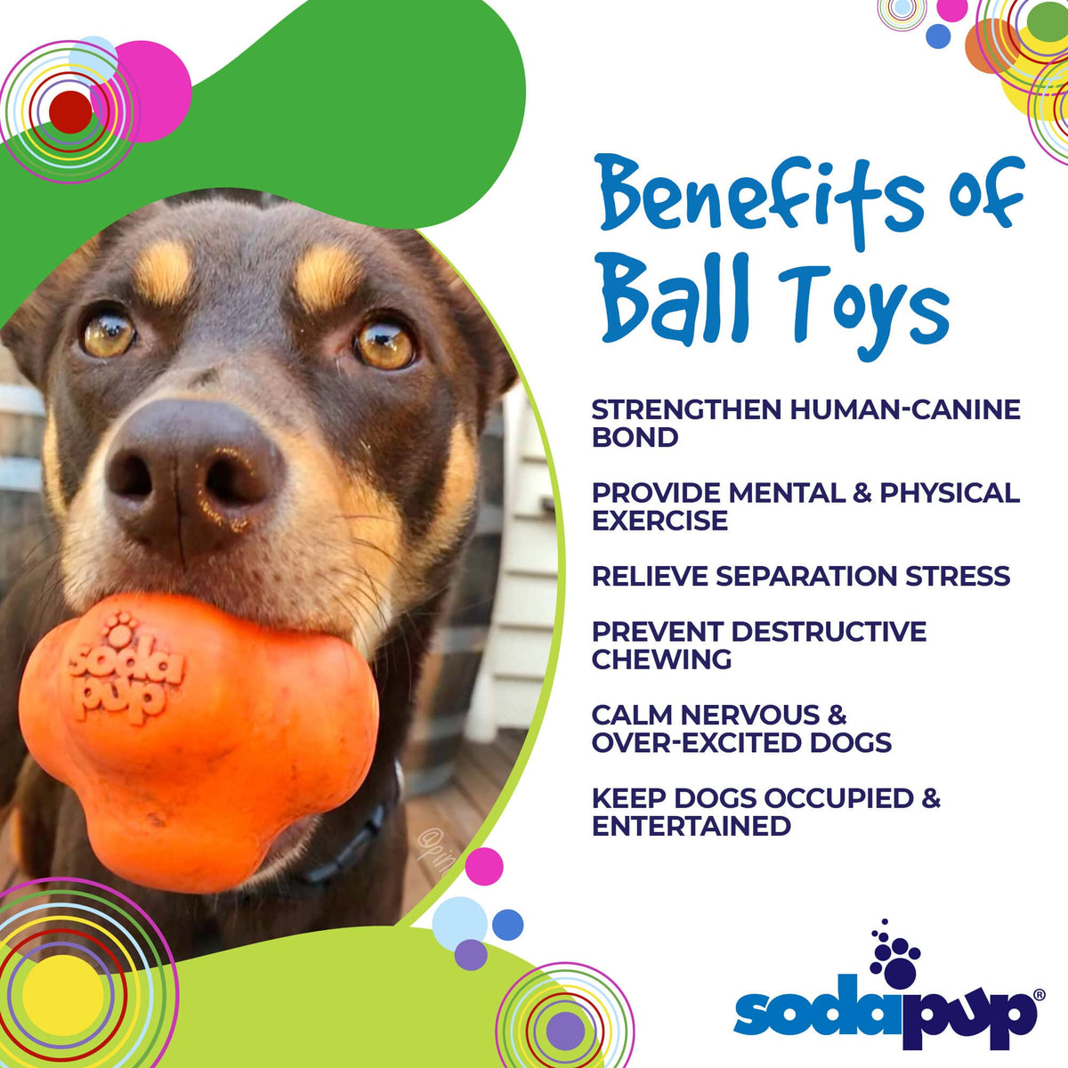 SodaPup Crazy Bounce orange rubber retrieving ball dog toy – photo 3 of 7