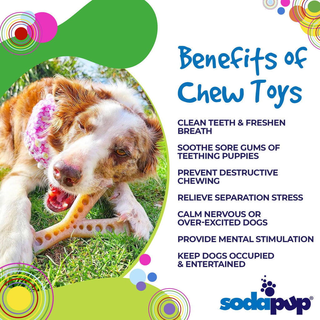 SodaPup MOD Wishbone Nylon Dog Chew Toy – alternate view 2