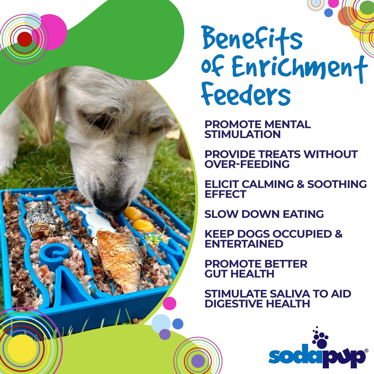 SodaPup Waiting Dogs eTray – Slow Feeder Bowl – alternate view 2
