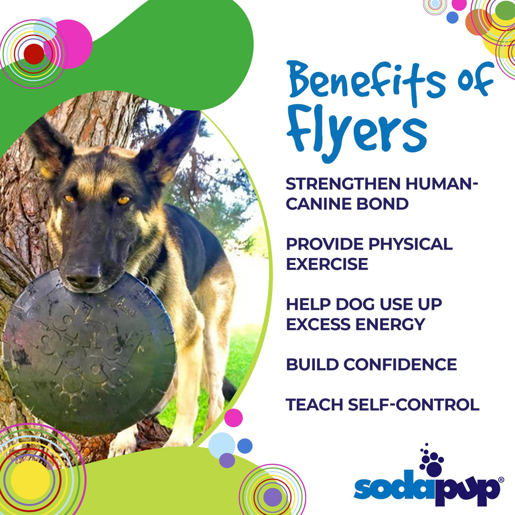 SodaPup Magnum Bottle Top Flyer black rubber frisbee dog toy – photo 3 of 10