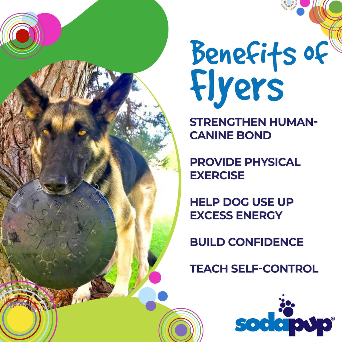 SodaPup Magnum Bottle Top Flyer black rubber frisbee dog toy – photo 3 of 10