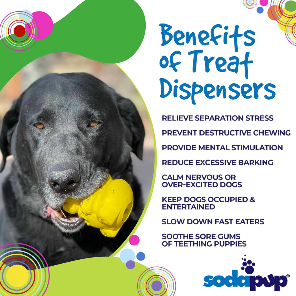 SodaPup Honey Bear rubber treat dispenser dog toy – photo 4 of 11