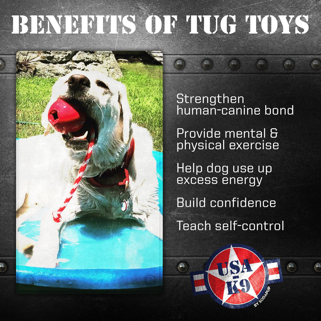 USA-K9 Cherry Bomb Rubber Dog Chew Toy – Reward Toy, USA Made – detail