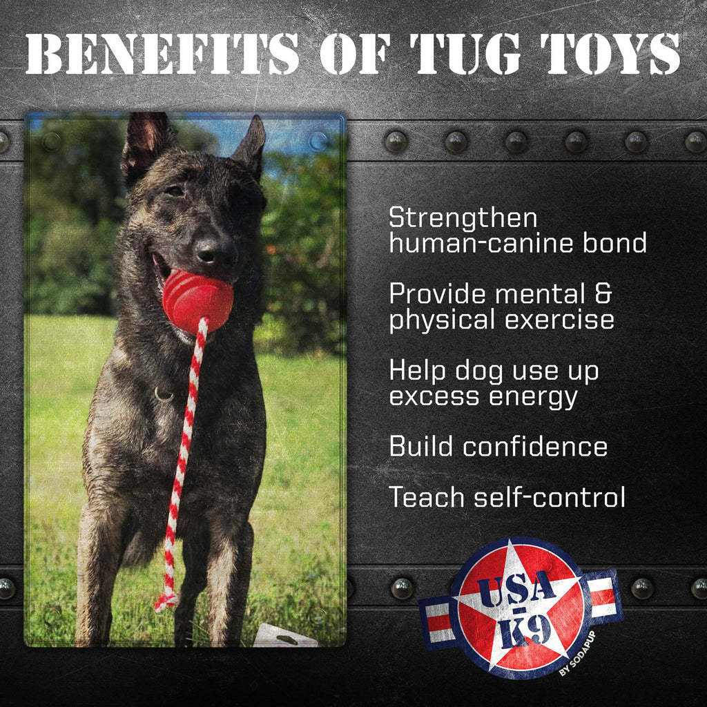 USA-K9 Stars and Stripes red rubber reward ball dog toy – photo 3 of 8