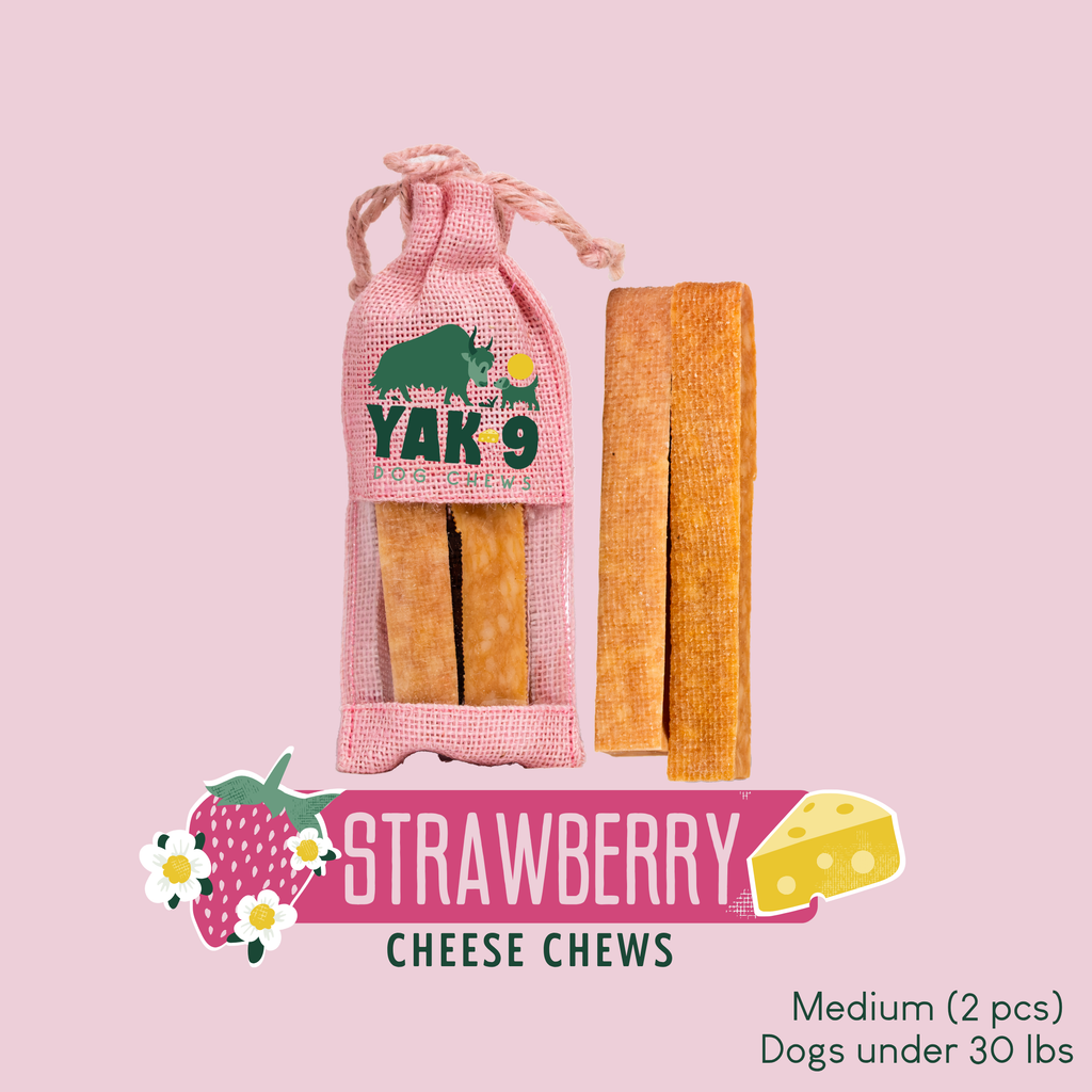 Strawberry Cheese Chews for Dogs – alternate view 22