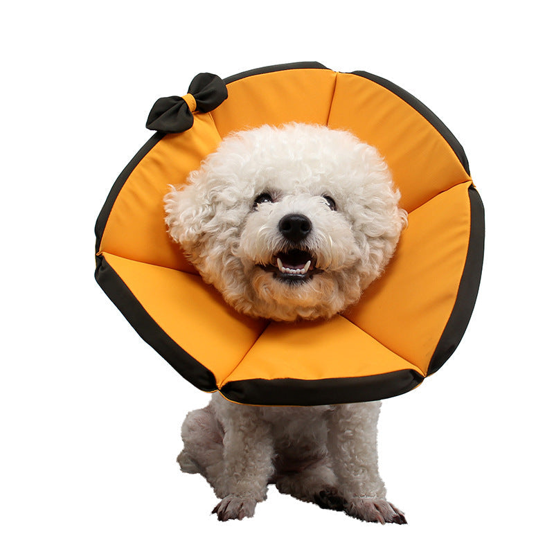 Dog Recovery Collar – Sick Care & Post-Surgery – front view