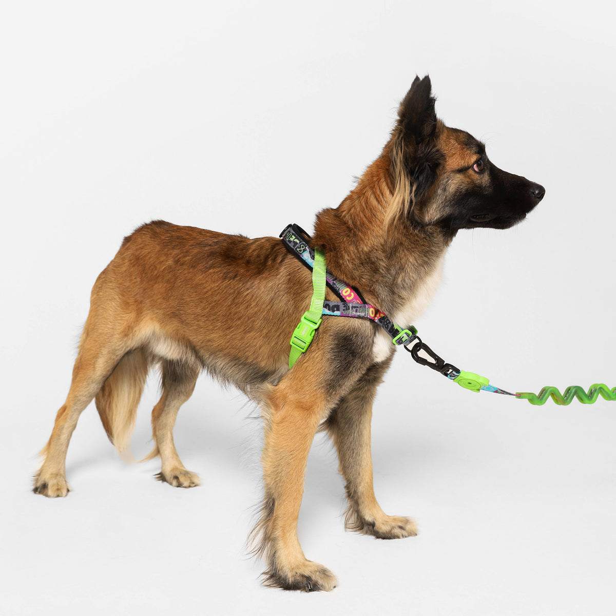 Manifesto SofterWalk Dog Harness – alternate view 2