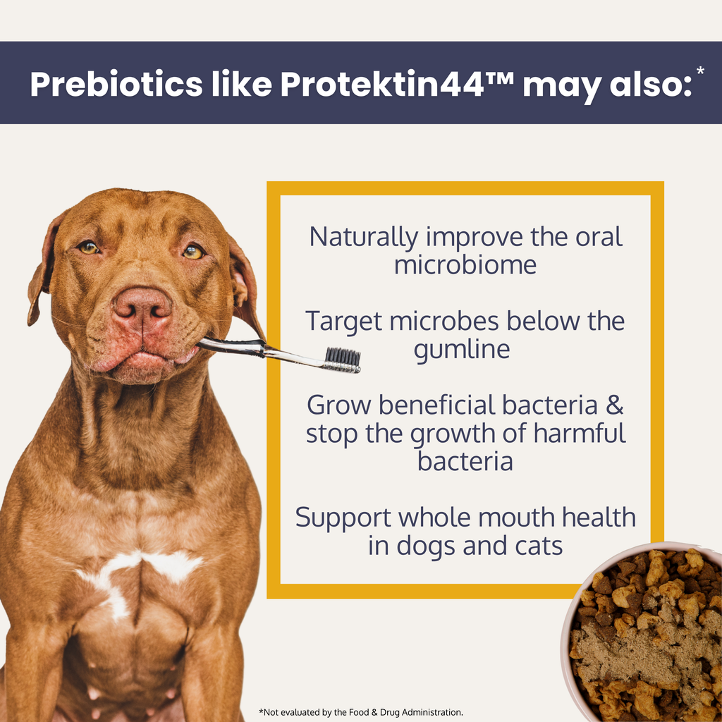 Dental Health Dog Food Topper with Protektin44 – alternate view 3