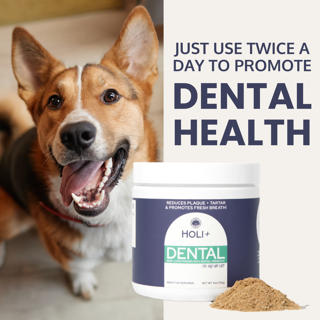 Dental Health Dog Food Topper with Protektin44 – alternate view 5