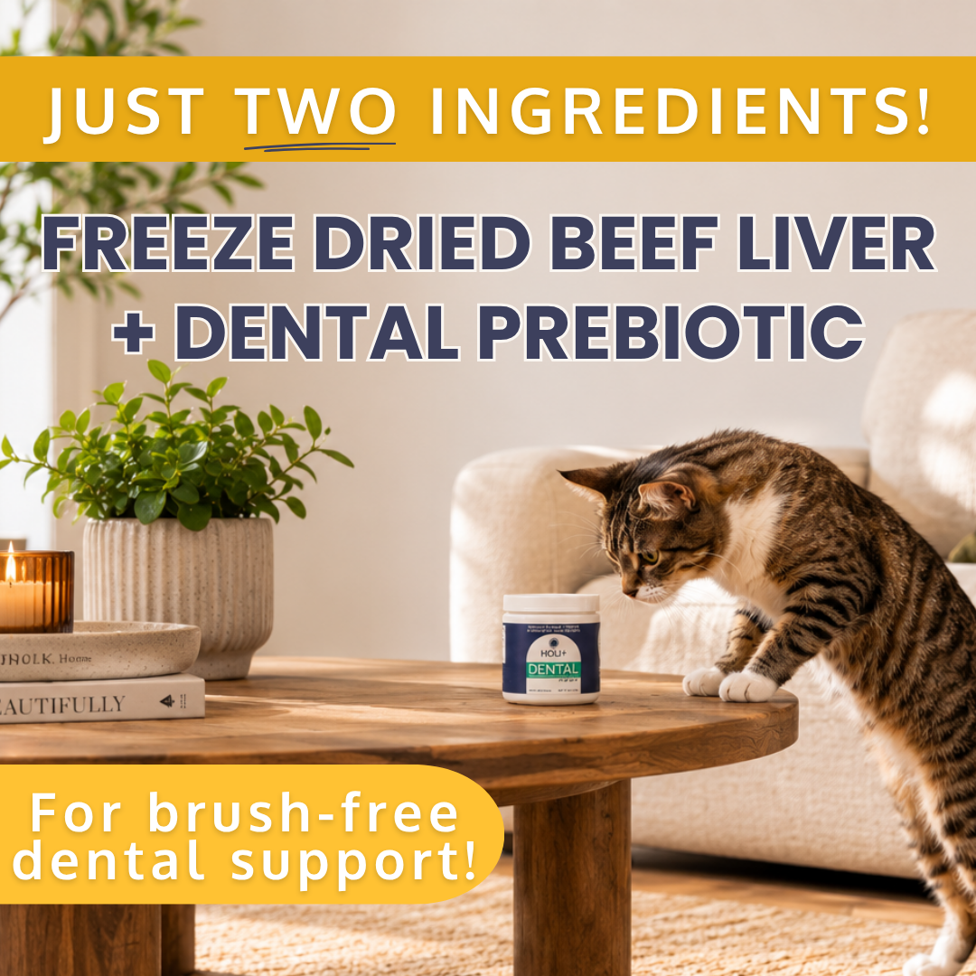 Dental Health Dog Food Topper with Protektin44 – alternate view 6