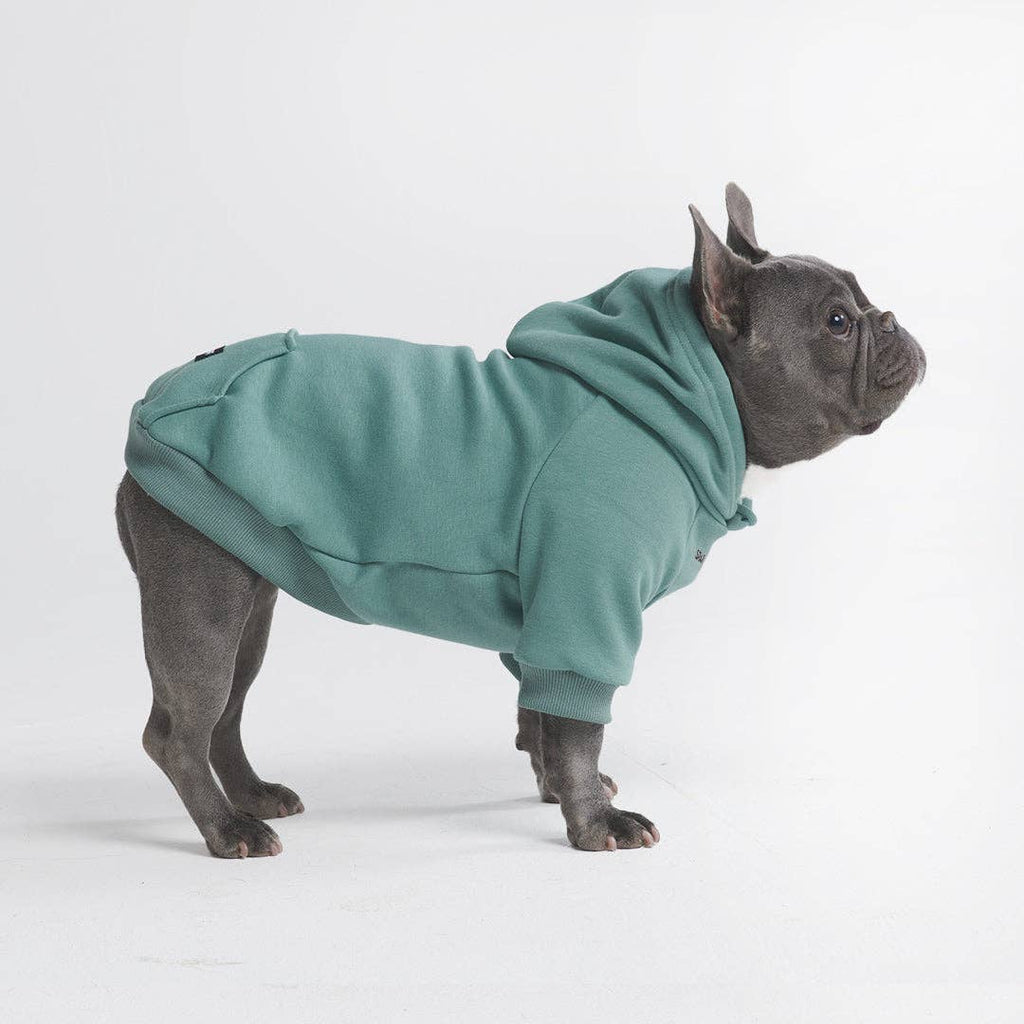 Essential Dog Hoodie - Teal – front view