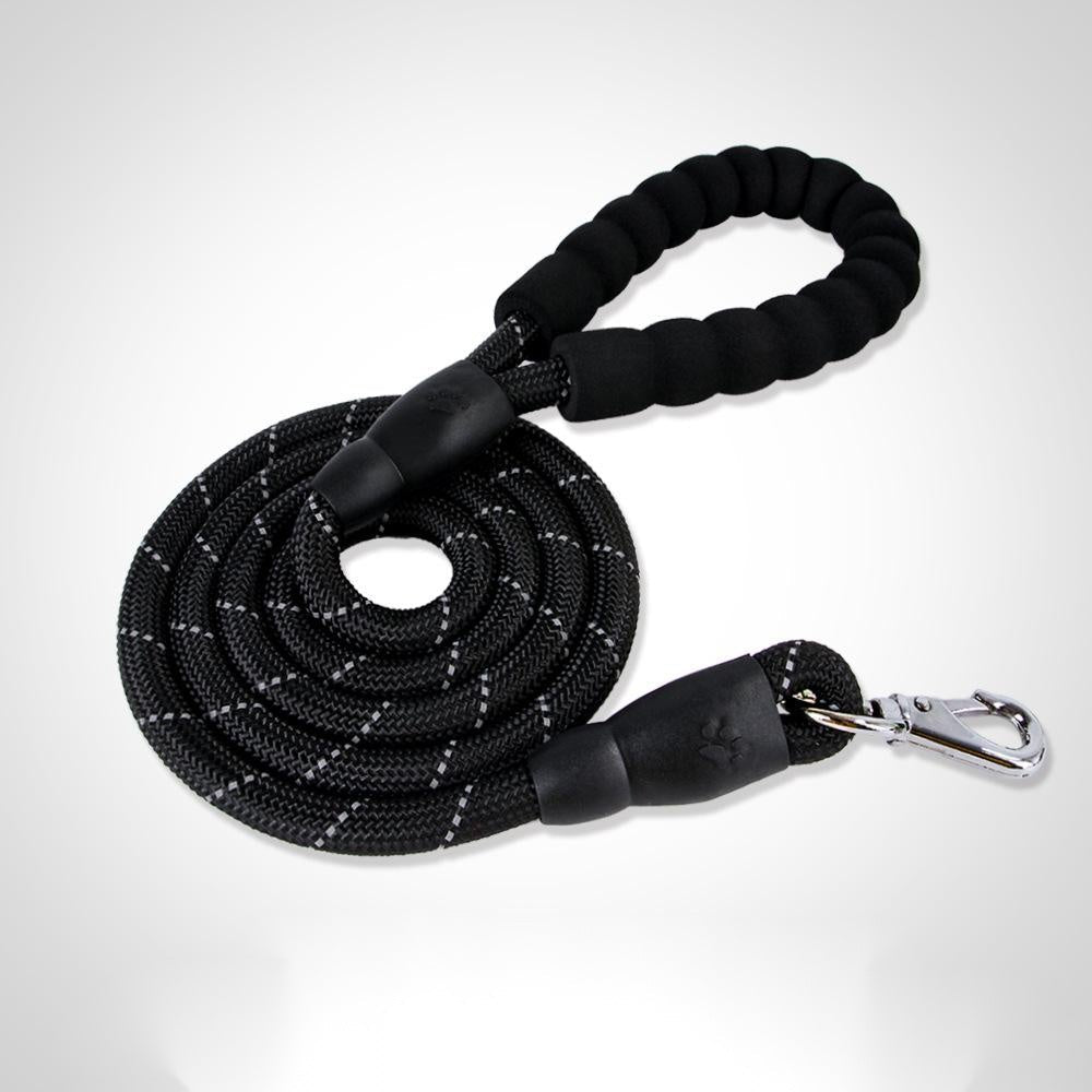 Dog Collar – Medium & Large Dogs – alternate view 7