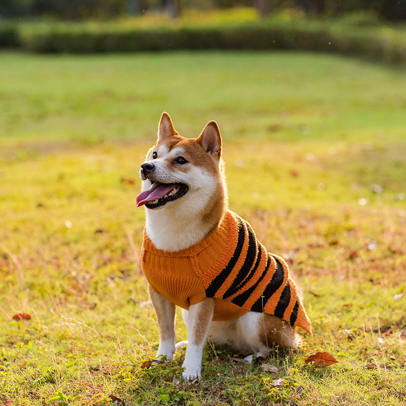 Halloween Dog Sweater – Warm Knit Costume Sweater – alternate view 3