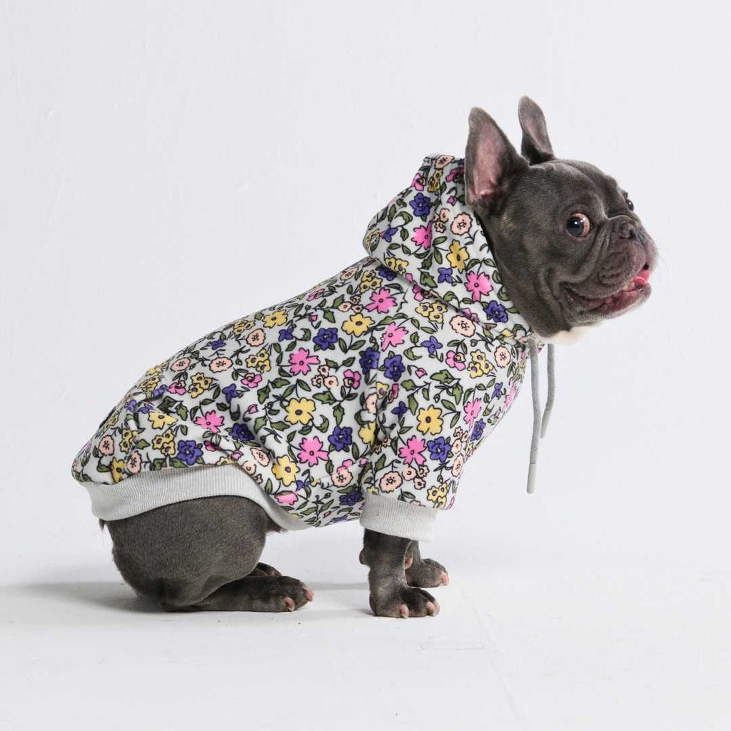 Vintage Flower Dog Hoodie - Light Grey – alternate view 4