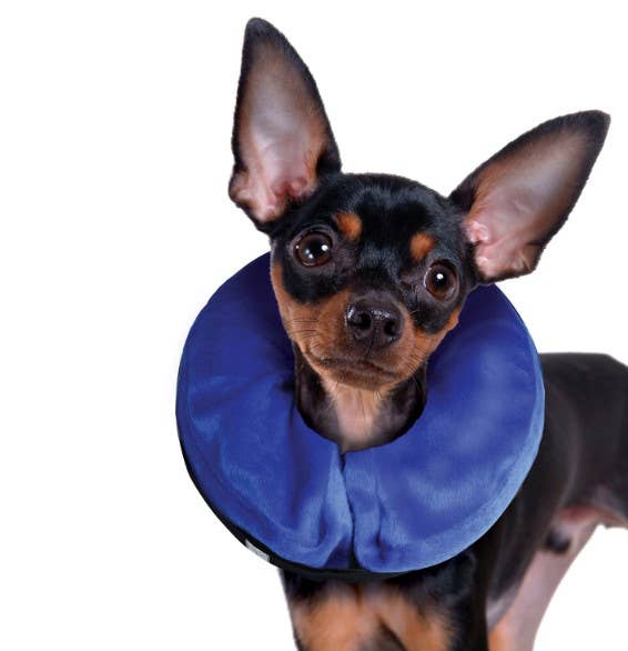 KONG® E-Collar Cloud® XS – alternate view 2