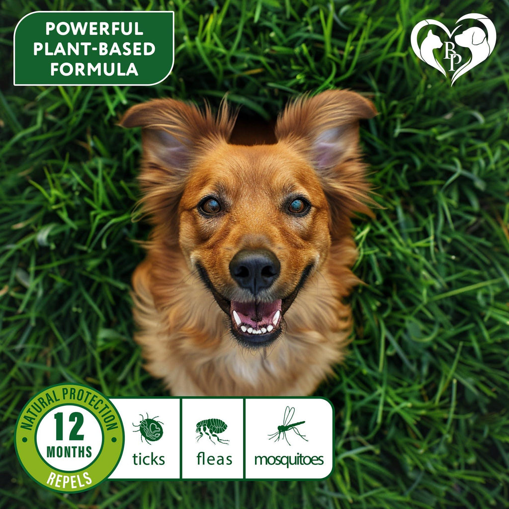 Flea and Tick Collar for Dogs Essential Oil Waterproof 2 Count – photo 3 of 8