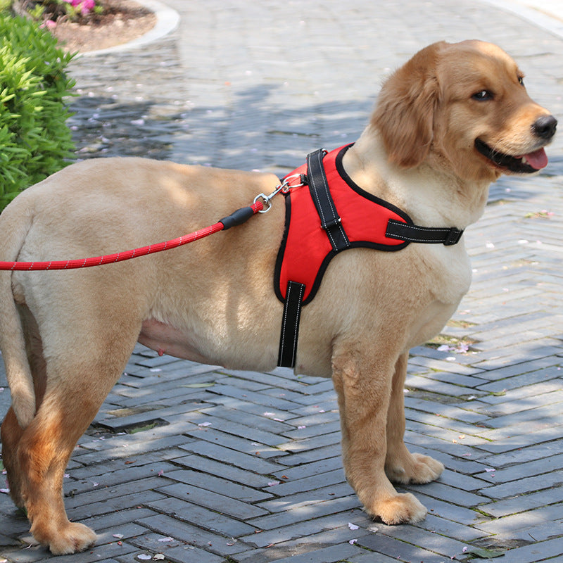 Padded Reflective Nylon Dog Harness & Collar Set – Medium/Large – front view