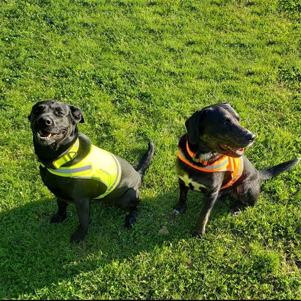 SafetyPUP XD Lite Lightweight Dog Vest M Blaze Orange – photo 7 of 8