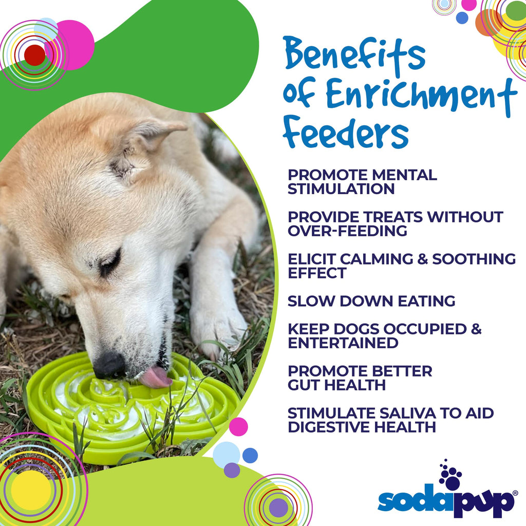 SodaPup Water Frog eTray – Shallow Slow Feeder Dog Bowl, USA Made – alternate view 5