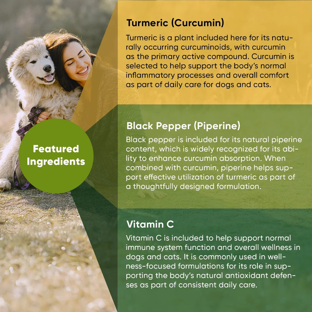 Rooted Owl Turmeric supplement with curcumin and black pepper – photo 4 of 9