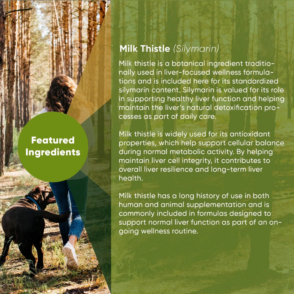 Rooted Owl Liver Support supplement for dogs with milk thistle – photo 4 of 9