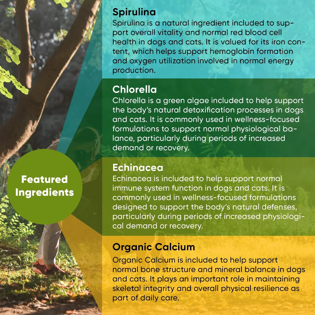 Rooted Owl Spirulina and Chlorella supplement capsules – photo 4 of 9