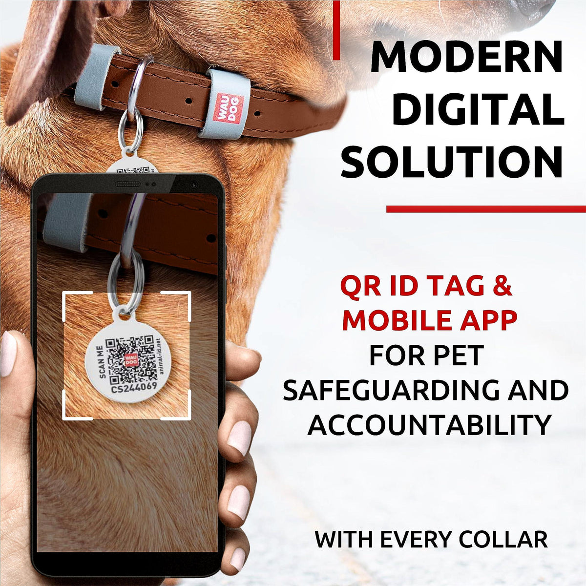 Genuine Leather Dog Collar with Smart QR Tag XSmall – photo 4 of 5