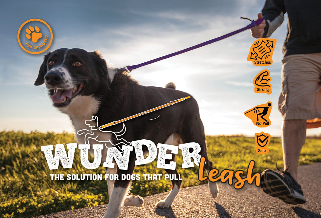 WUNDERleash – The Original No-Pull Dog Leash – alternate view 2