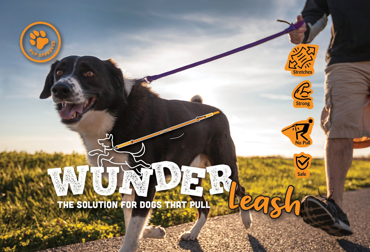 WUNDERleash – The Original No-Pull Dog Leash – alternate view 2