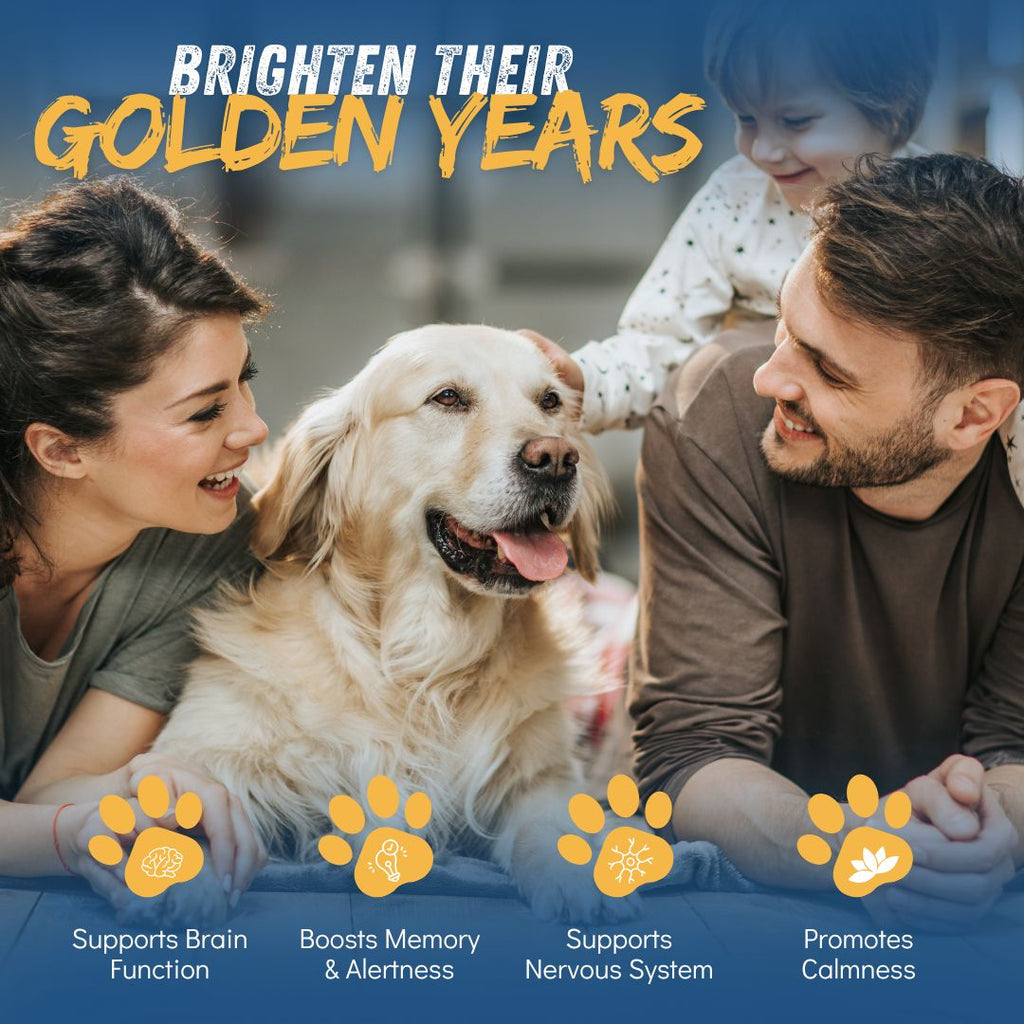 CogniCaps Canine Cognitive Function Supplement for Dogs – photo 3 of 8